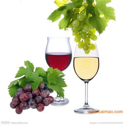 上海保稅區(qū)法國葡萄酒專業(yè)進(jìn)口報(bào)關(guān)代理服務(wù)全解析